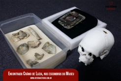 Encontrado Crânio de Luzia nos escombros do Museu Nacional