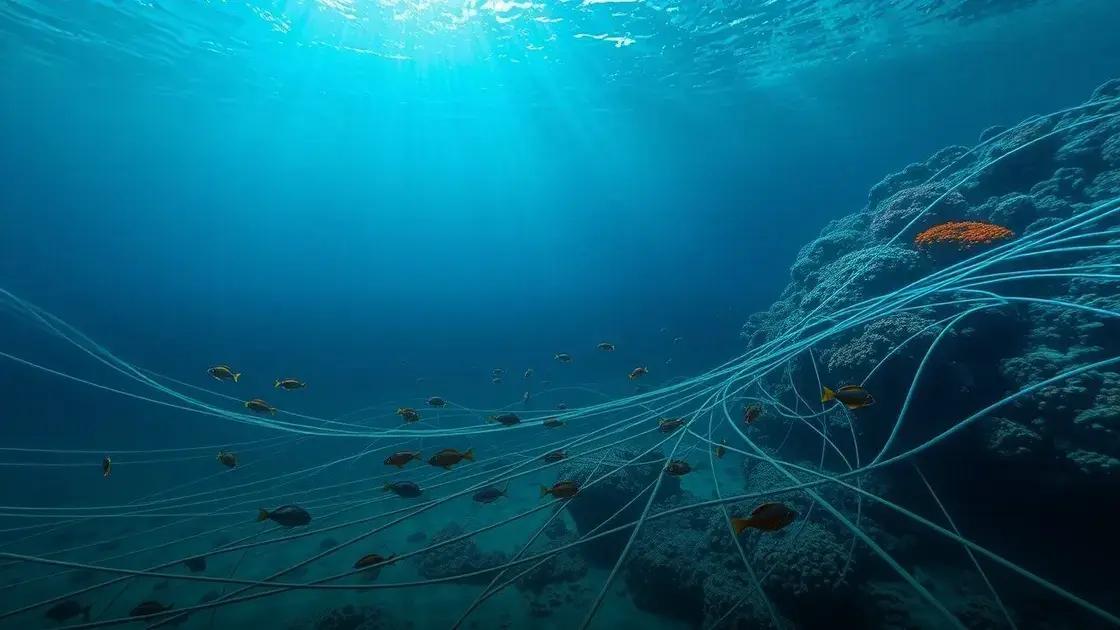 Brics planejam rede própria de cabos submarinos para comunicação global
