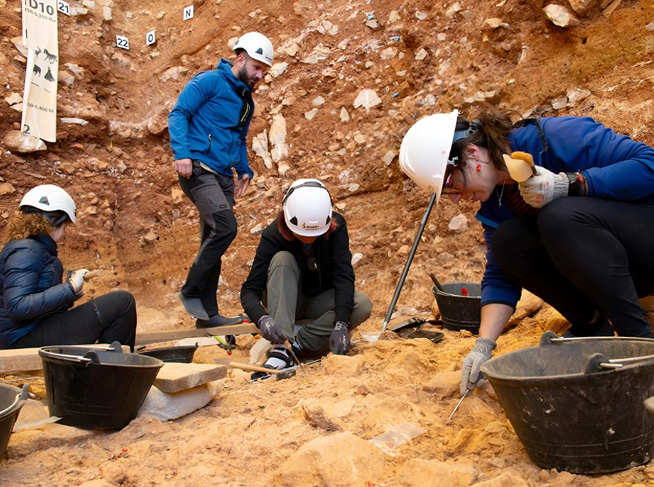 Trabalho de escavação no nível TD6 de Gran Dolina (Sierra de Atapuerca, Burgos). Crédito: Maria D. Guillén / IPHES-CERCA