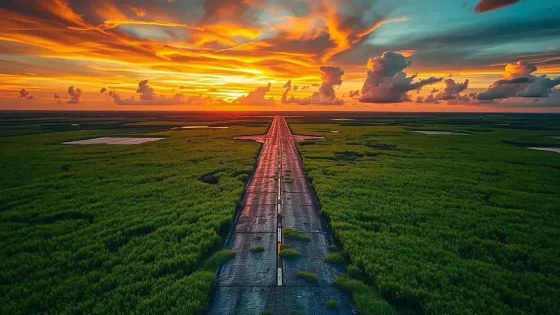Everglades e a Batalha Ambiental: O Legado de 'Alligator Alcatraz'