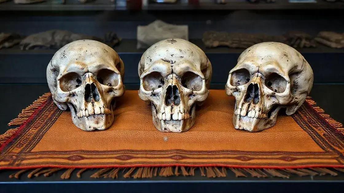 Os três crânios repatriados: rei e dois guerreiros Sakalava Os três crânios repatriados: rei e dois guerreiros Sakalava