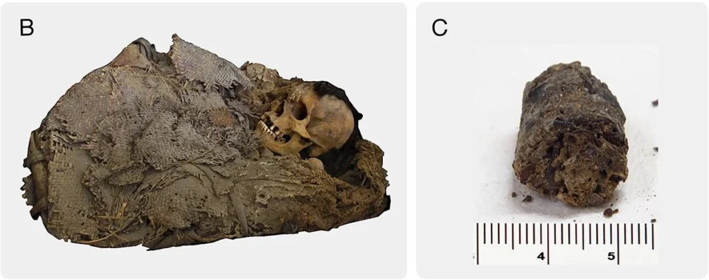 Descoberta da múmia de Zimapán: um tesouro arqueológico