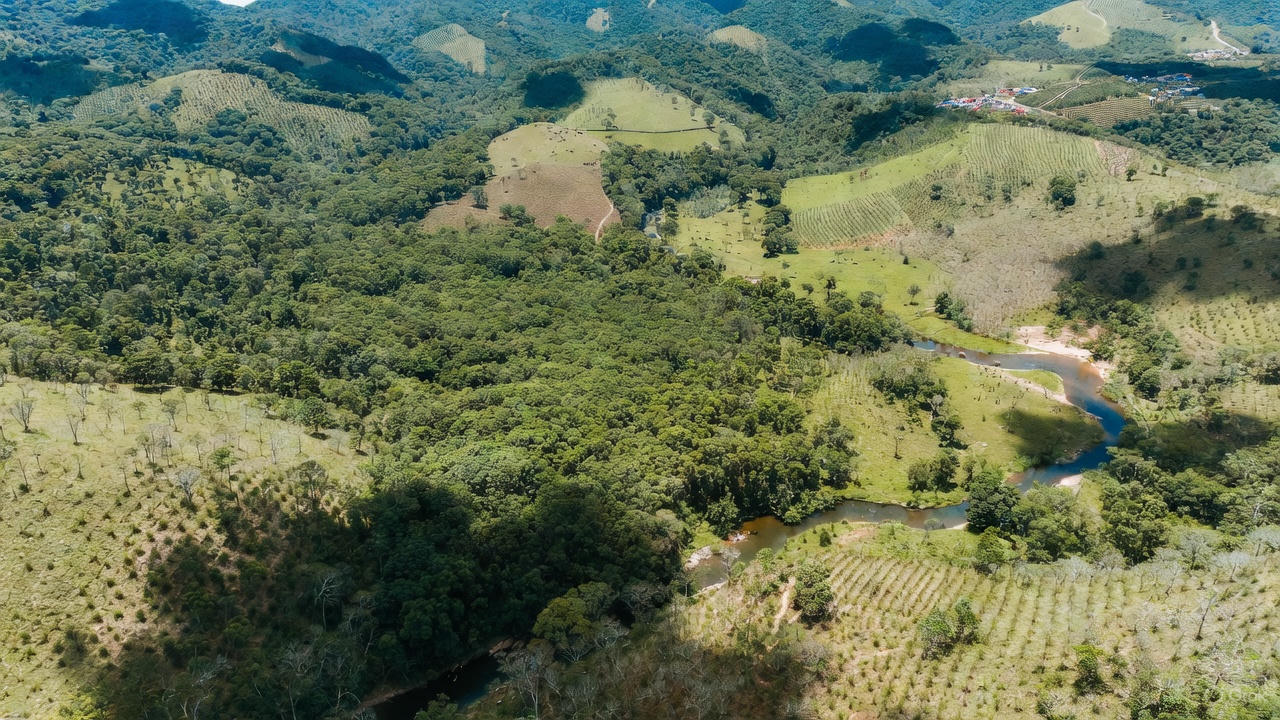 Brasil pode ampliar cobertura florestal em área equivalente a duas Suíças