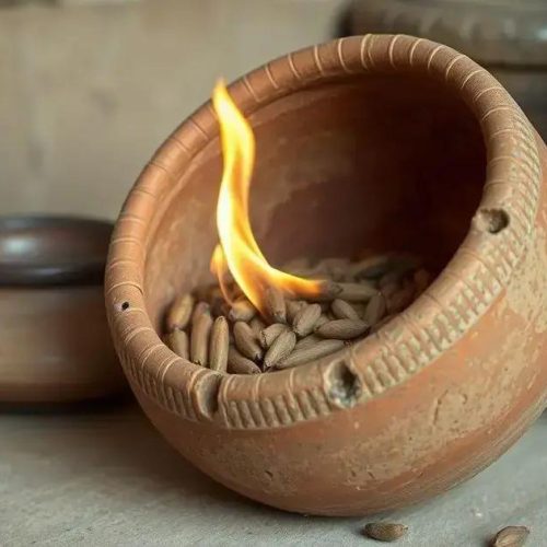 Descoberta arqueológica revela uso mais antigo de Peganum harmala na Arábia
