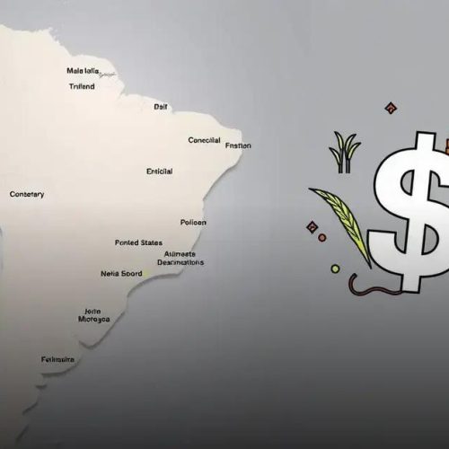 Estados bolsonaristas serão os mais afetados por tarifas de Trump