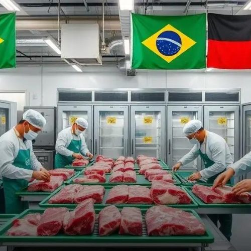 Indonésia amplia em 80% número de frigoríficos brasileiros para exportação