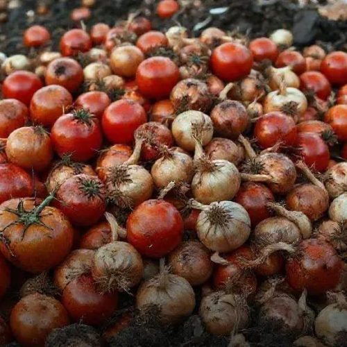 Projeto torna crime descarte de alimentos bons para manipular preços