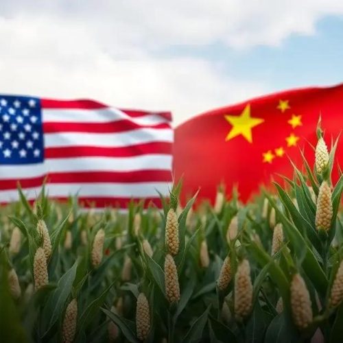 Trump pede à China que quadruplique compras de soja dos EUA